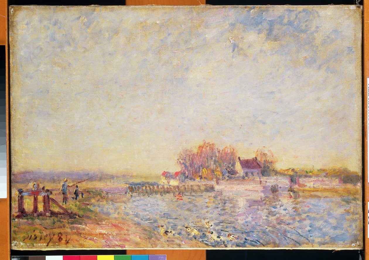 Rivierscène met eenden, 1881 door Alfred Sisley