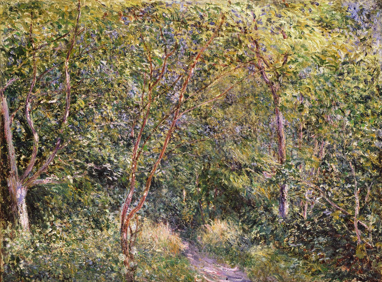 Onbekend Beeld door Alfred Sisley