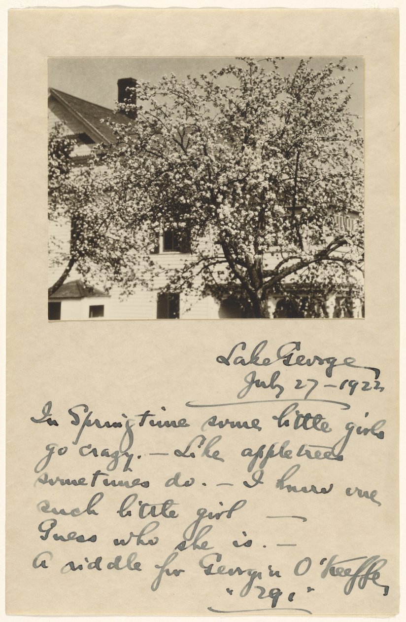 [Appelbloesems]. door Alfred Stieglitz