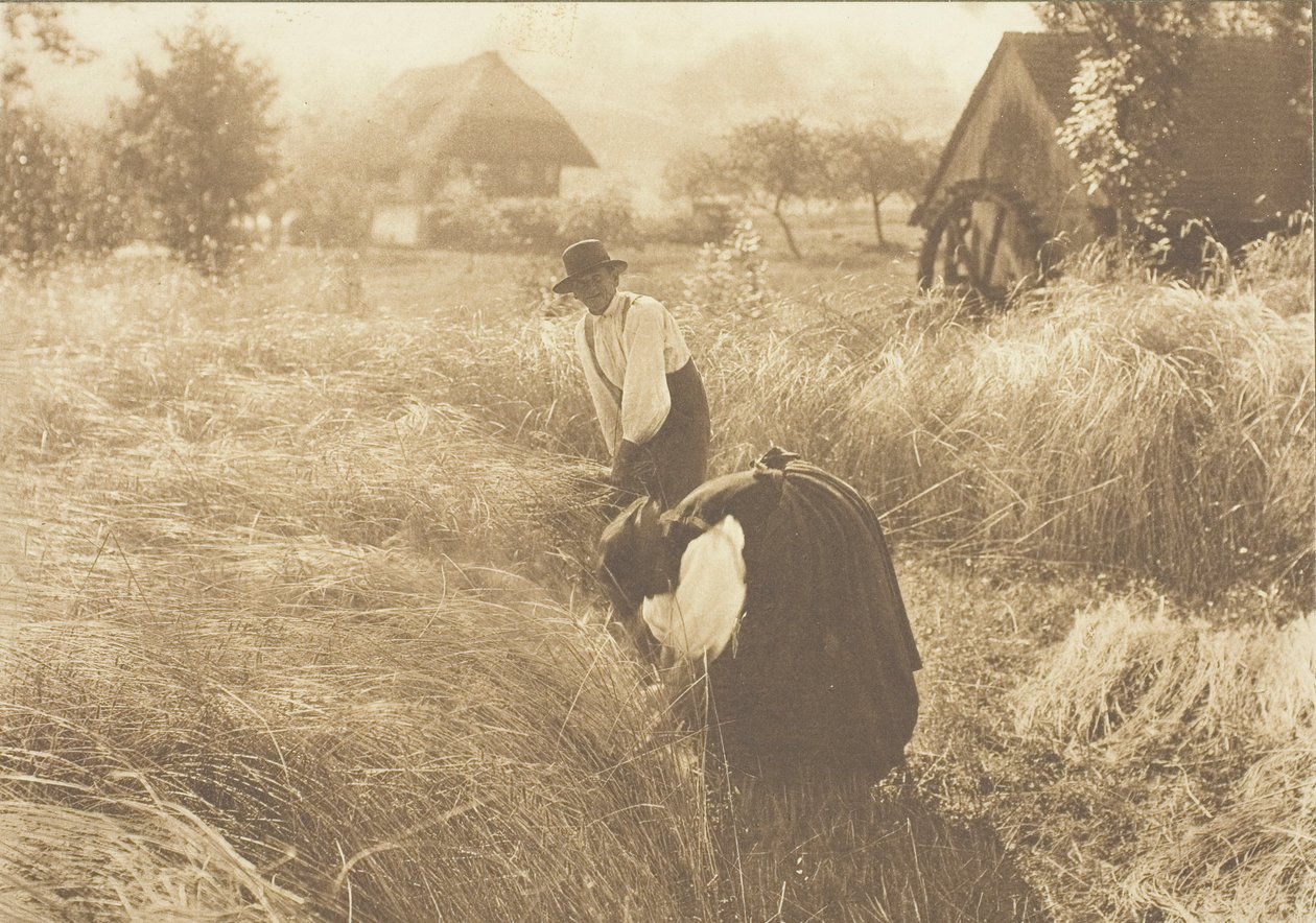 Vroege Ochtend, 1894 door Alfred Stieglitz