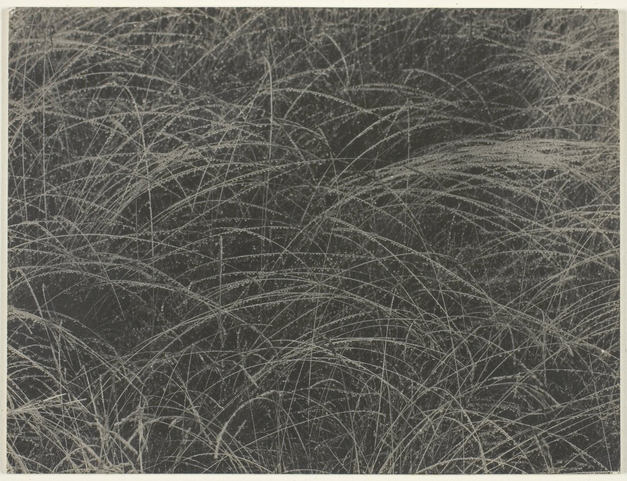 Equivalent door Alfred Stieglitz