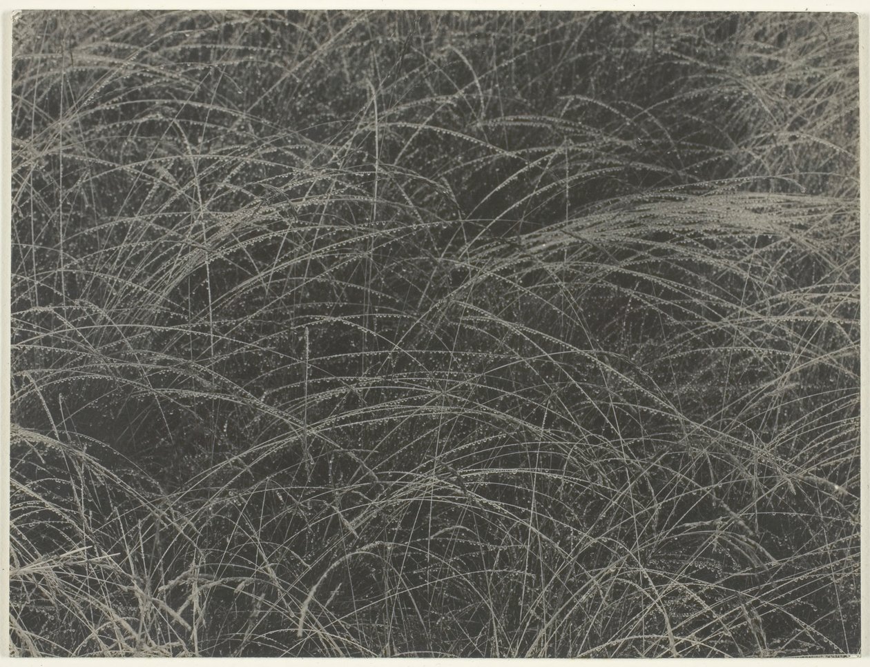 Equivalent, 1927 door Alfred Stieglitz