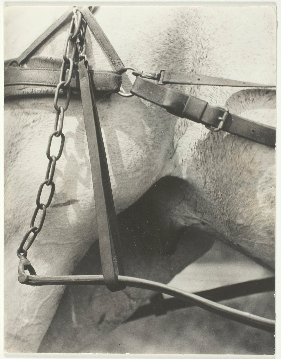 Equivalent, Spiritueel Amerika, 1923 door Alfred Stieglitz