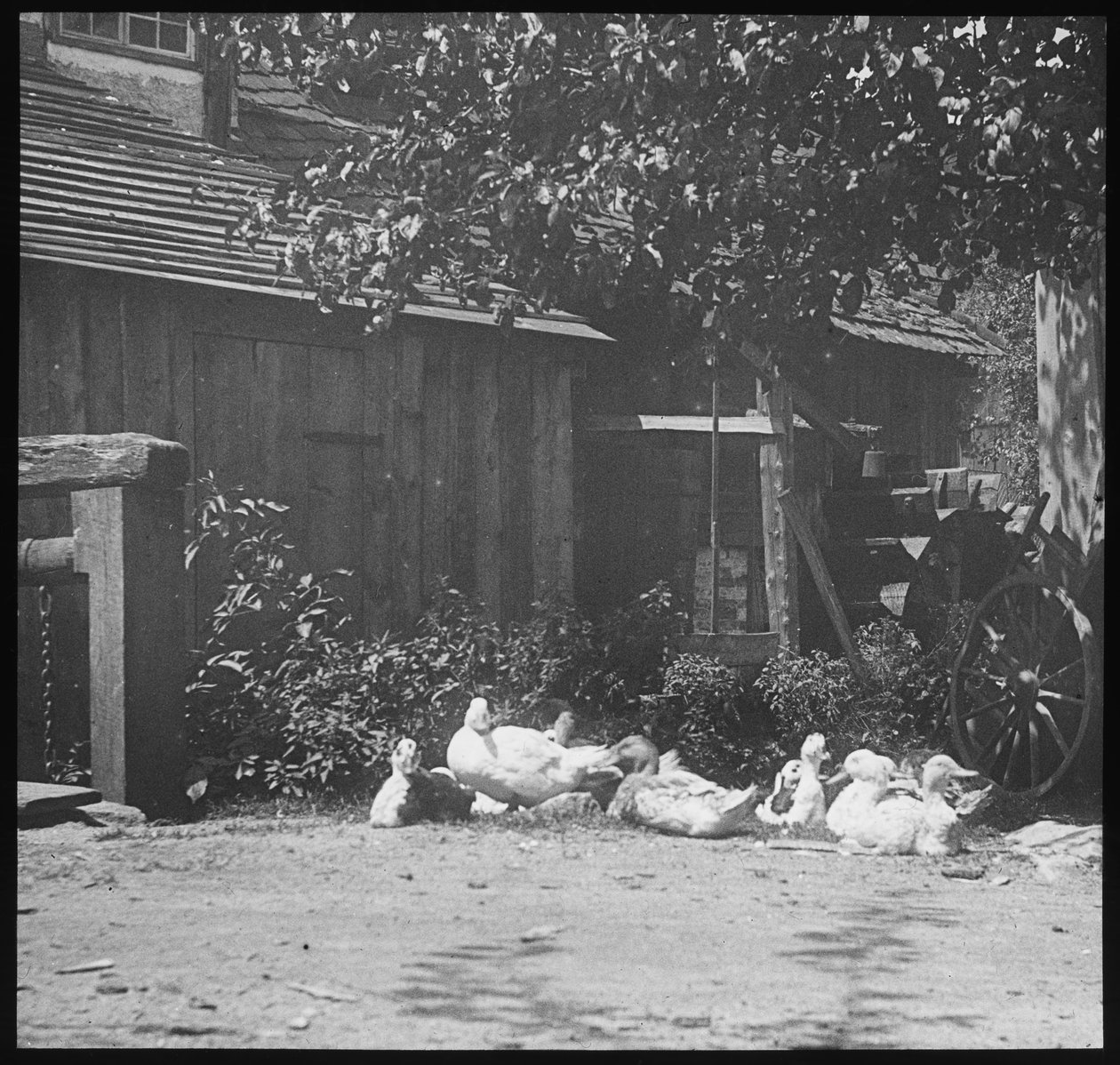 Gutach door Alfred Stieglitz