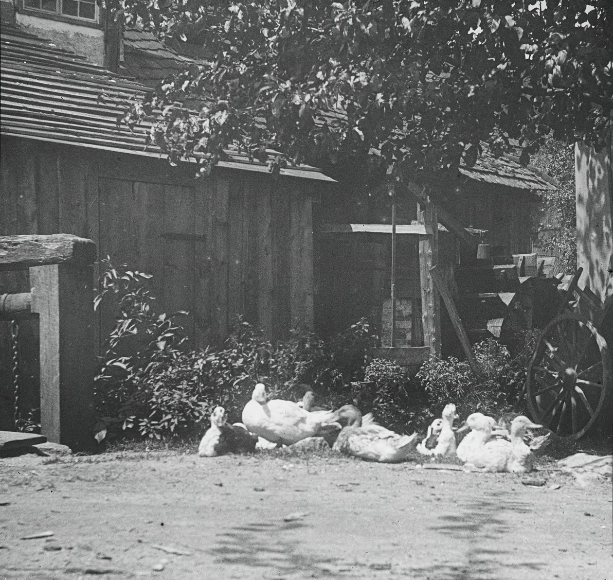 Gutach, 1894 door Alfred Stieglitz