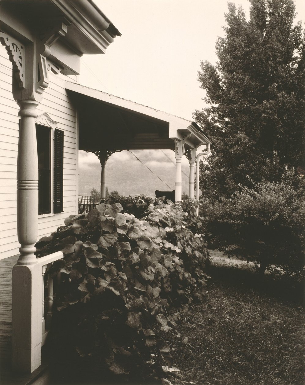 Huis en druivenbladeren door Alfred Stieglitz