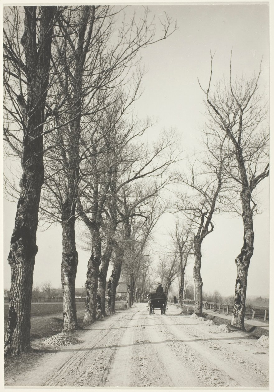 Novemberdagen door Alfred Stieglitz