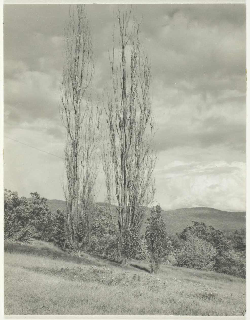 Populieren Lake George door Alfred Stieglitz