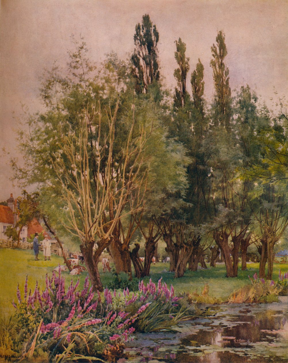 Paarse kattenstaart, c1891 door Alfred William Parsons