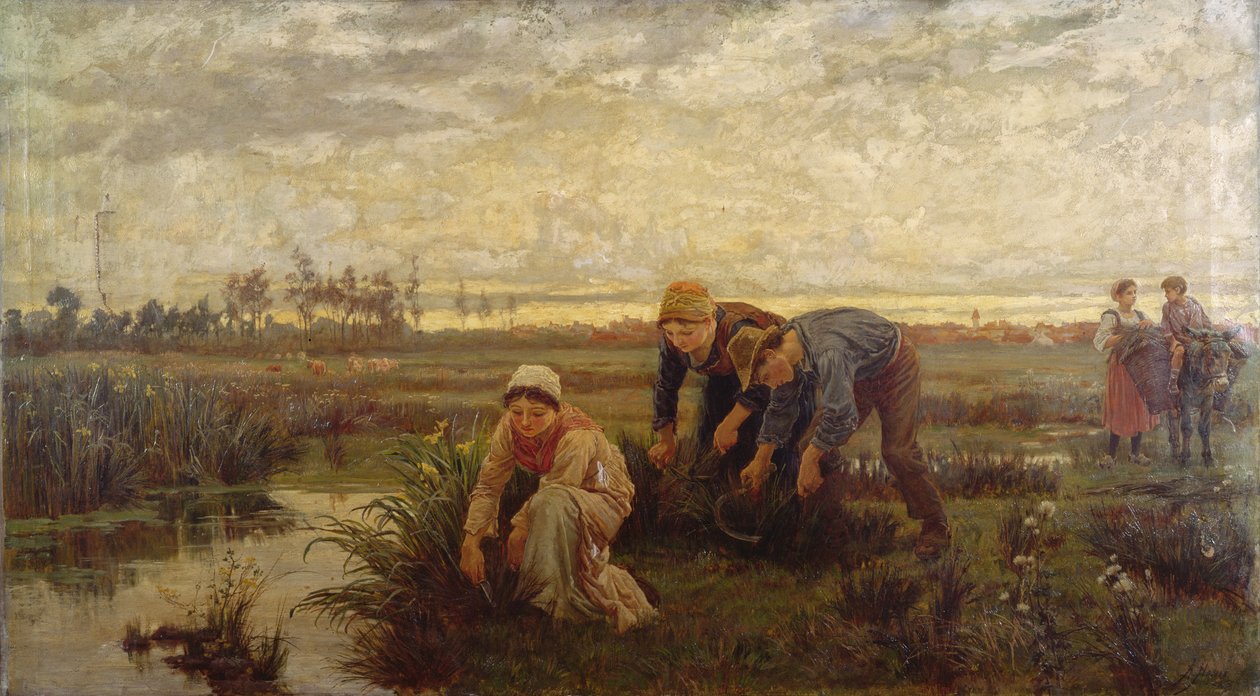 Rietsnijders door Alice Havers