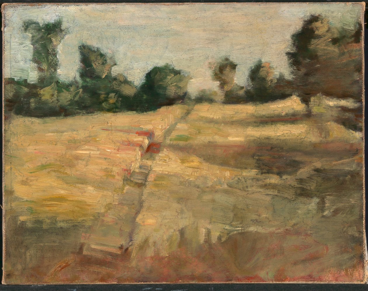 Het veld door Alice Pike Barney