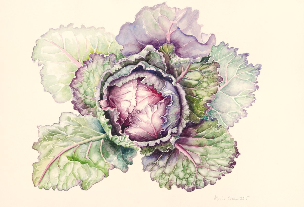 Kool van de markt, 2015 door Alison Cooper