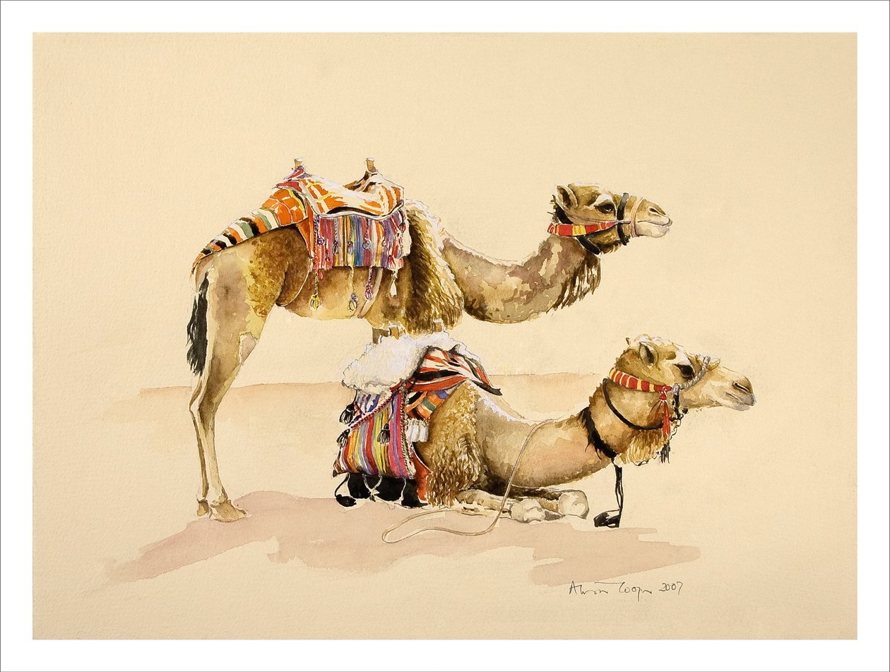 Kamelen uit Petra, 2007 door Alison Cooper