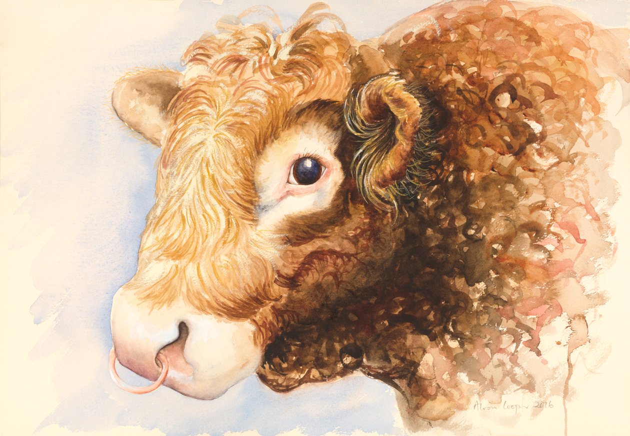 Adam de Stier, 2016, aquarel door Alison Cooper