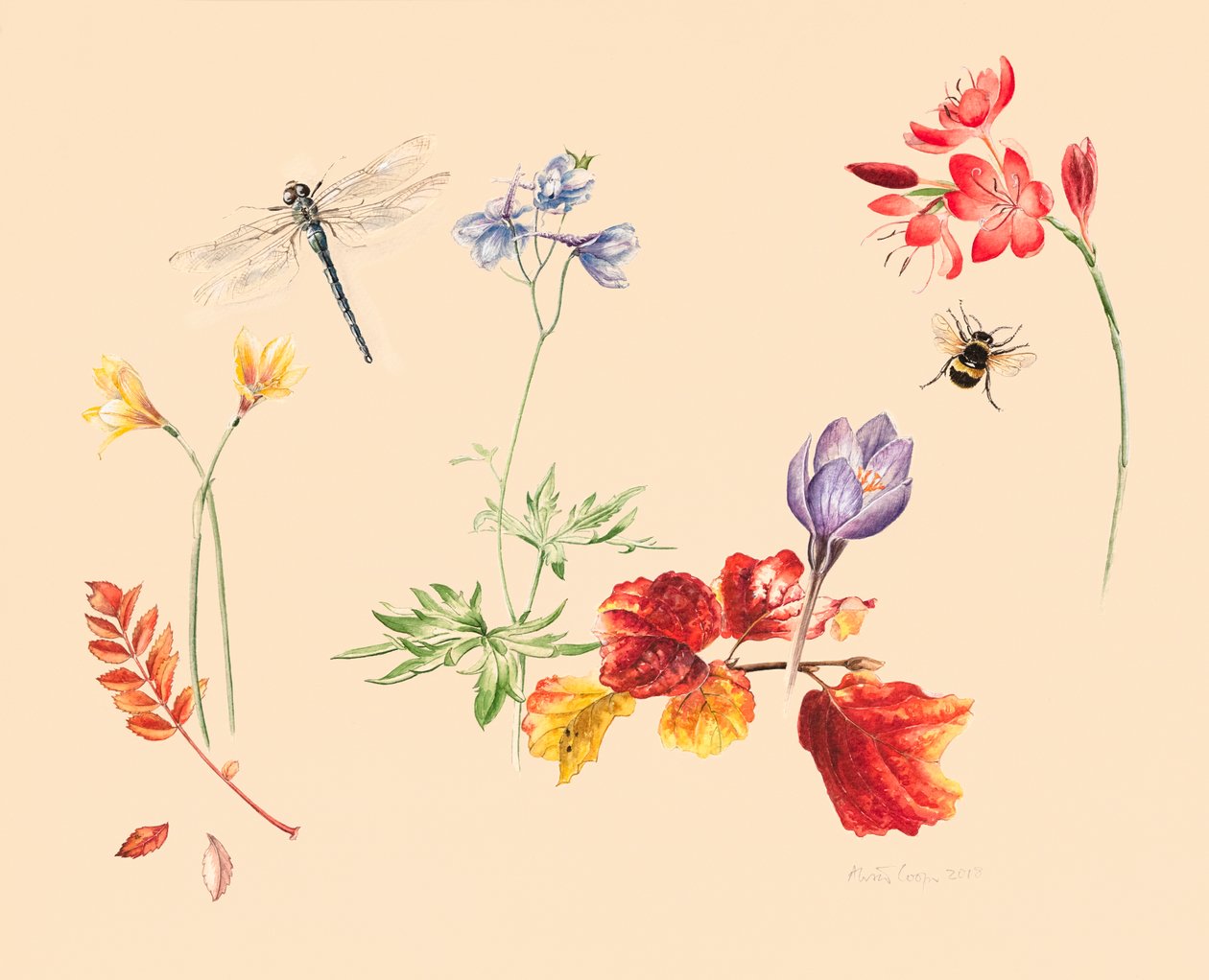 Herfstbloemen en insecten door Alison Cooper