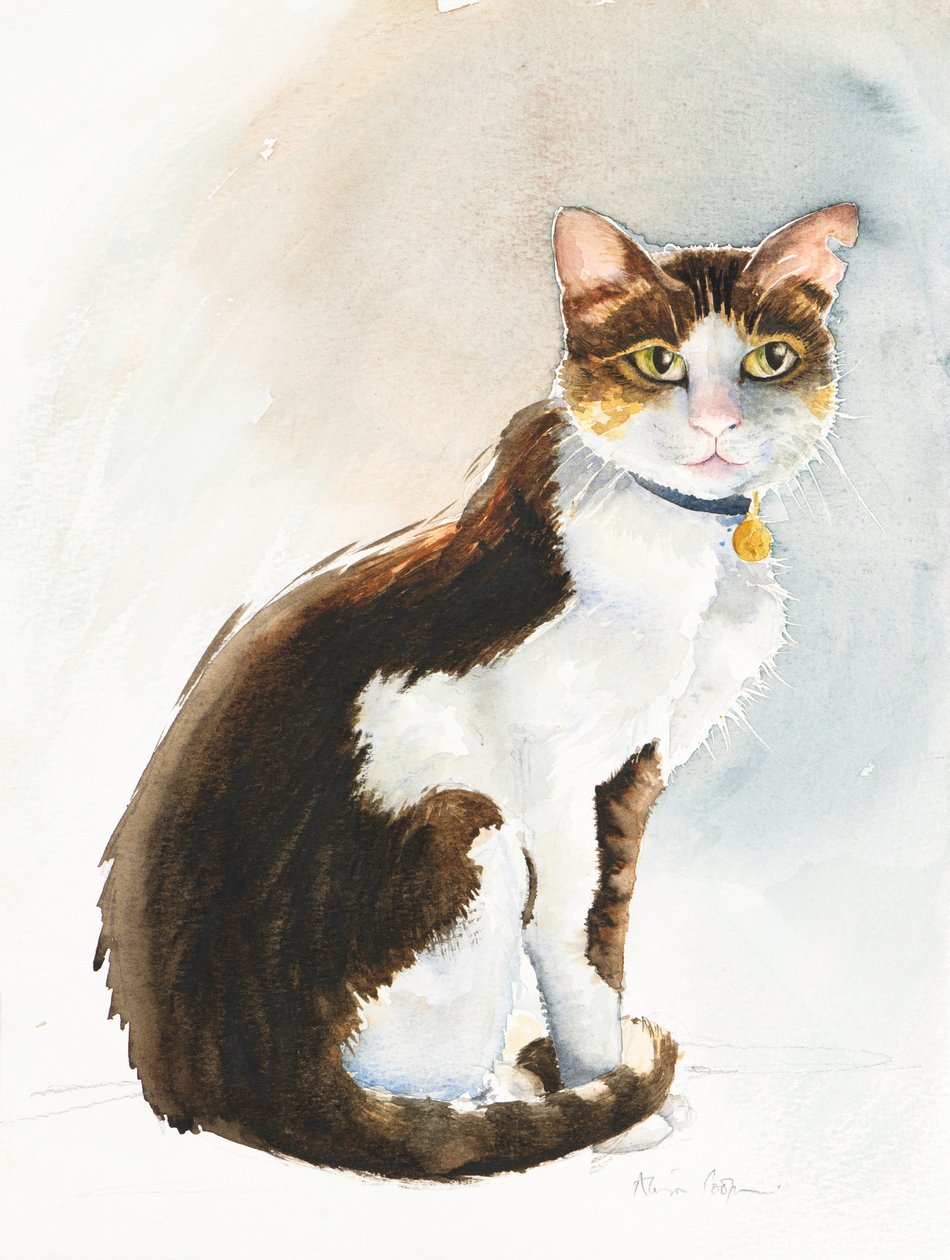 Dave de Saoedische Kat, 2019 door Alison Cooper