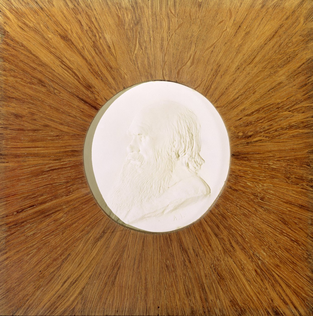 Charles Darwin (1809-82) c.1881 door Alphonse Legros