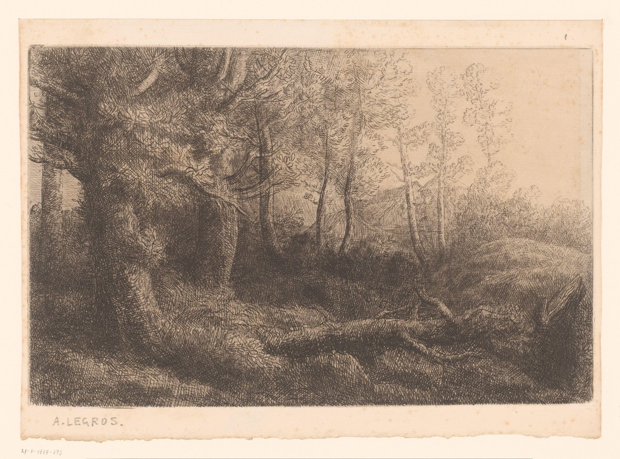 Bosgezicht door Alphonse Legros (attributed to)