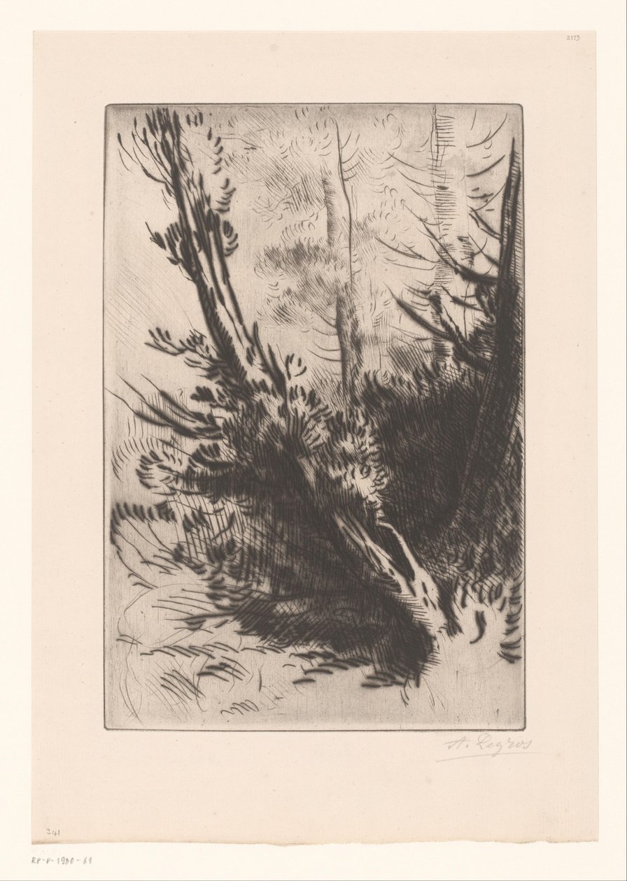 Bomen door Alphonse Legros (signed by artist)
