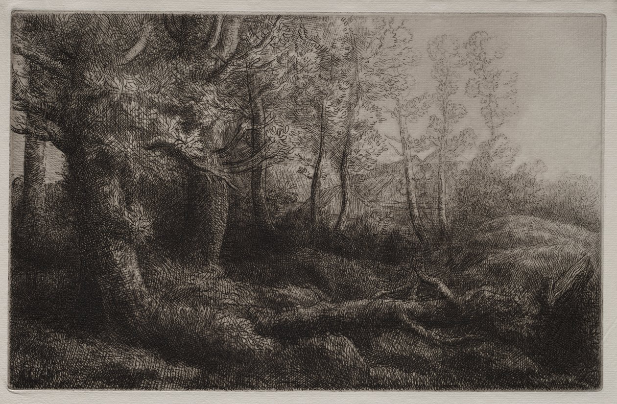 Een bosstudie door Alphonse Legros