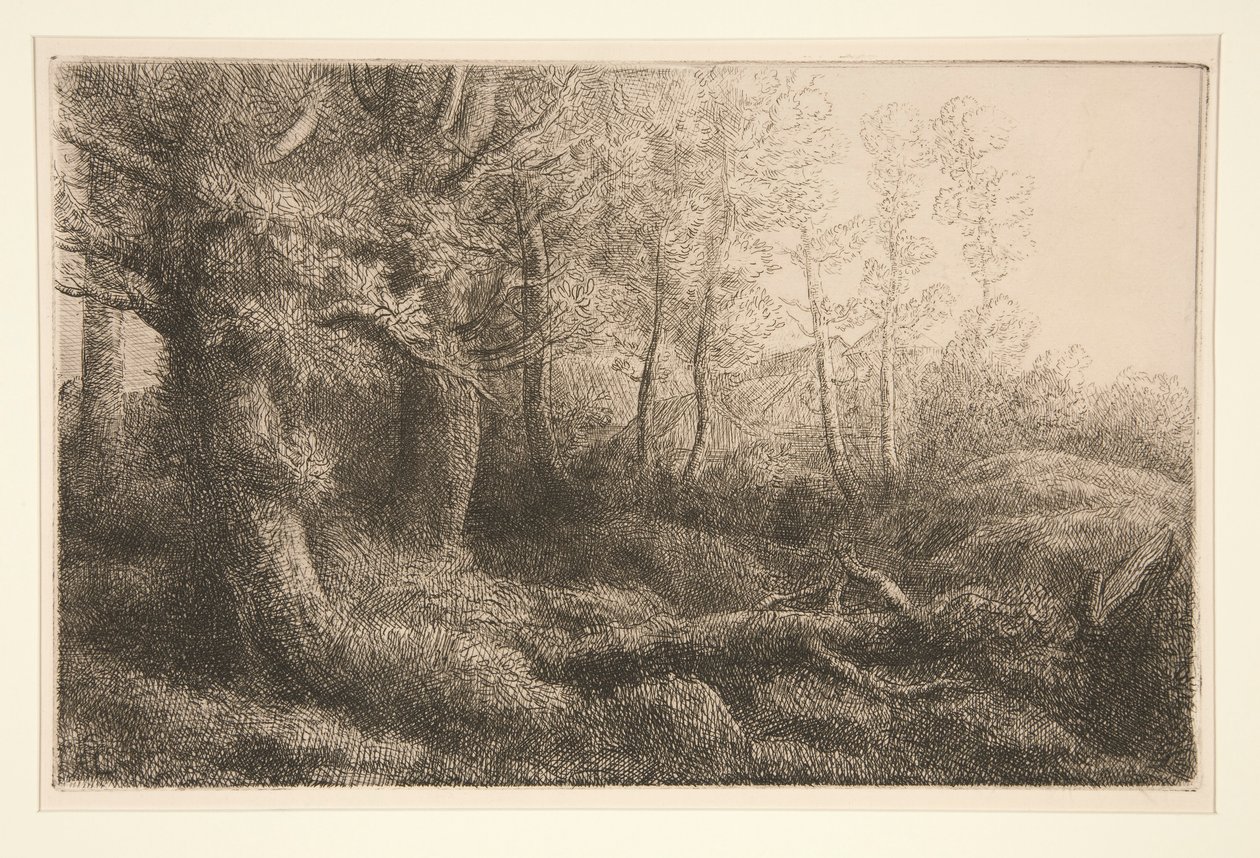 Een bosstudie door Alphonse Legros