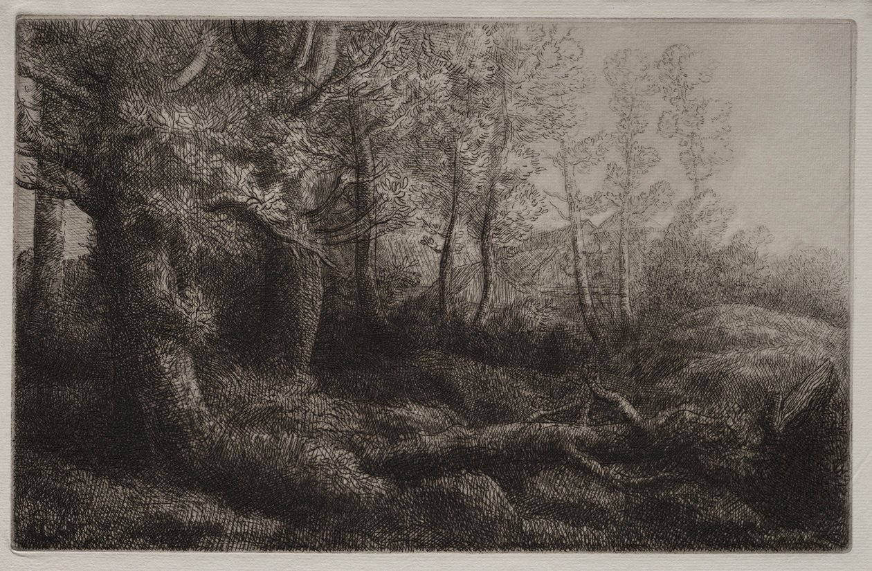 Een Bosstudie door Alphonse Legros