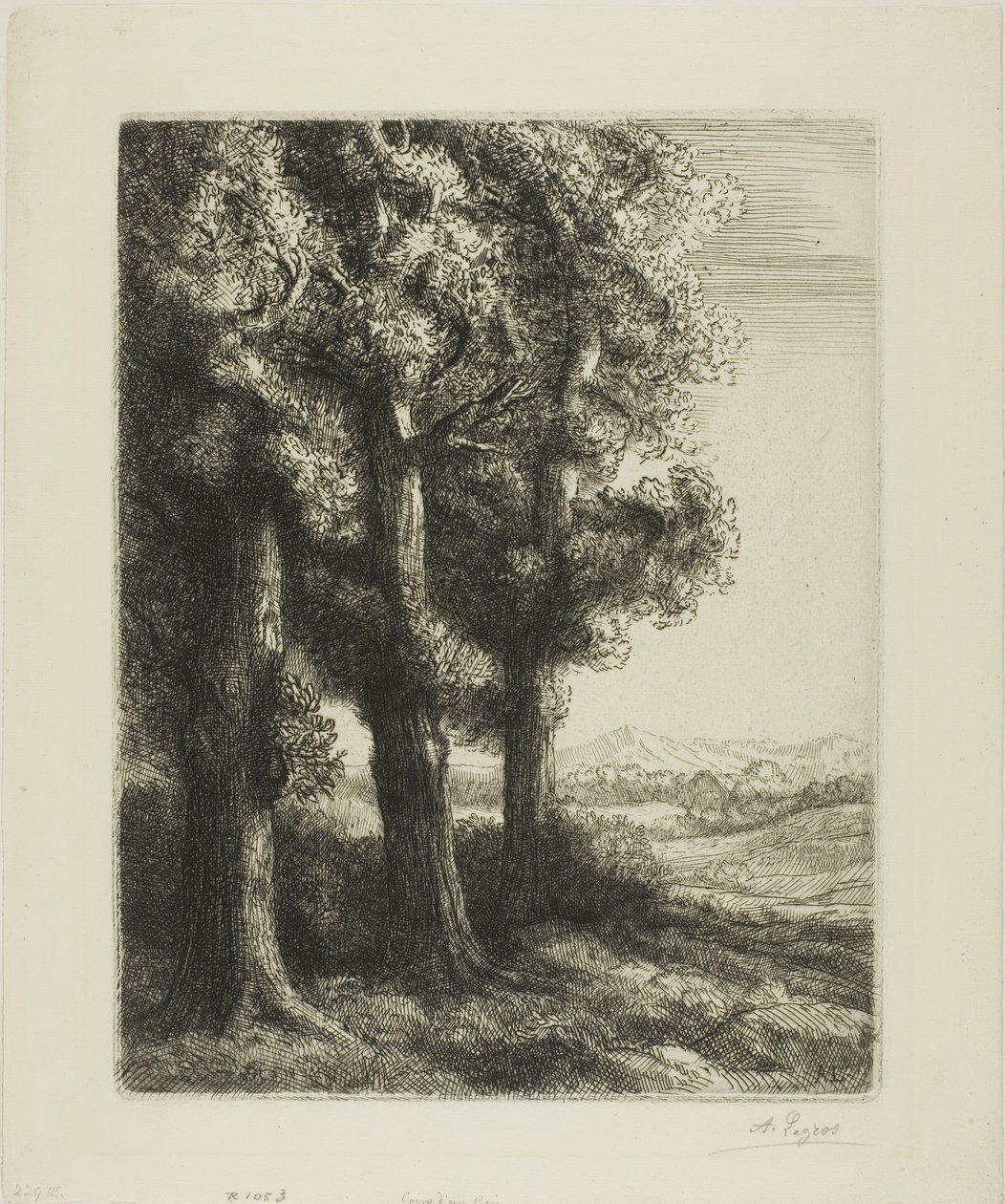 Rand van een Bos door Alphonse Legros