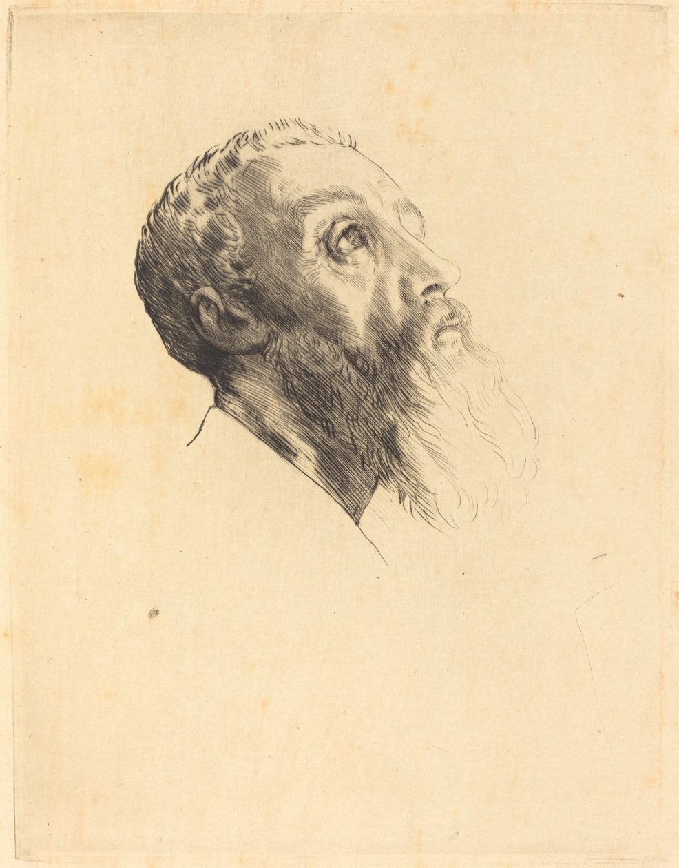 Hoofd van een Model Tête de modèle door Alphonse Legros