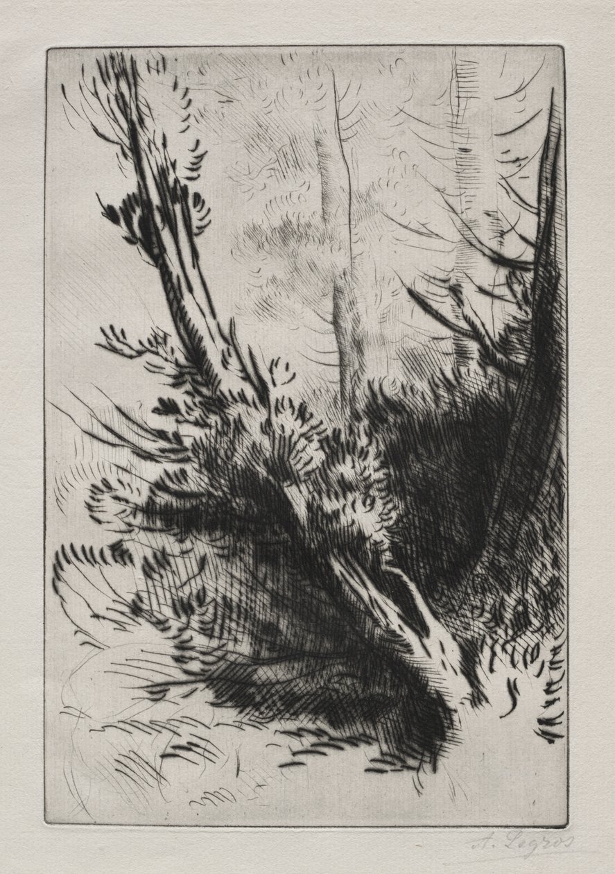 In het bos door Alphonse Legros