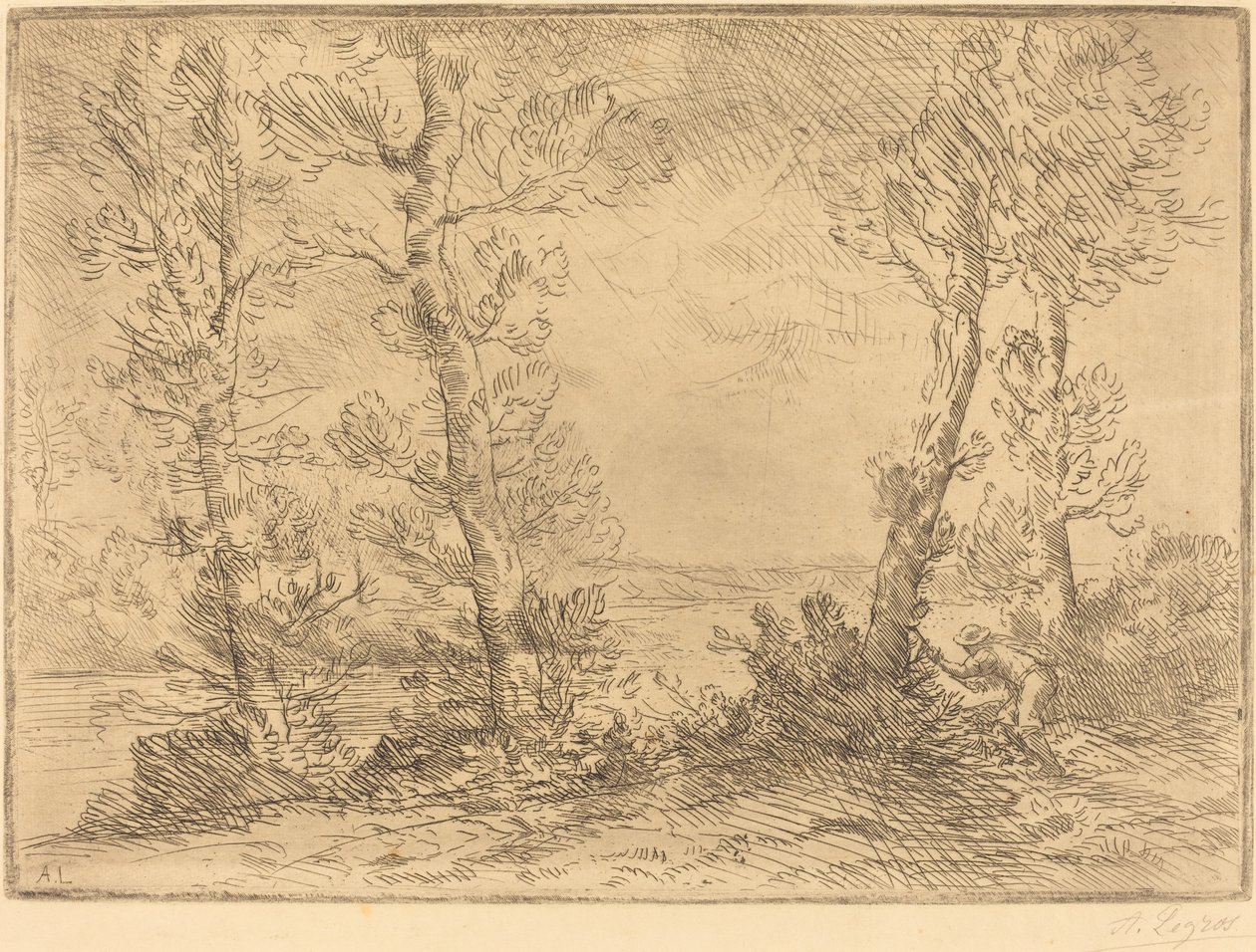 Zalmvisser door Alphonse Legros