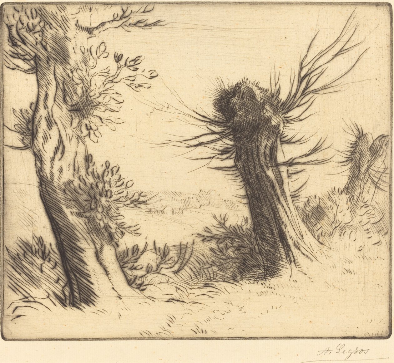 Wilgen door Alphonse Legros