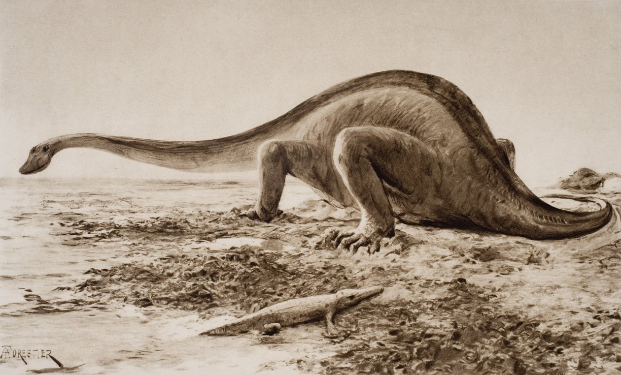 Brachiosaurus door Amedee Forestier