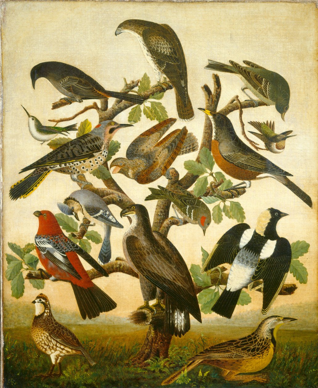 Vogels door American 19th Century
