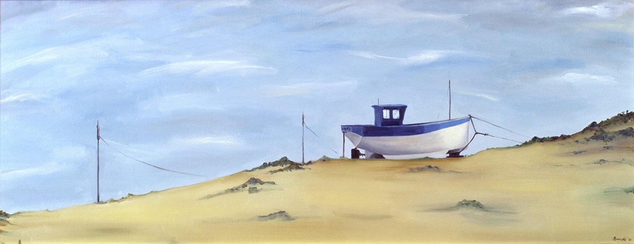 Gestrand door Ana Bianchi
