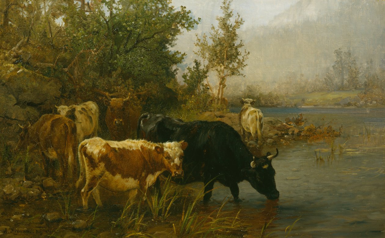 Koeien bij het water door Anders Askevold