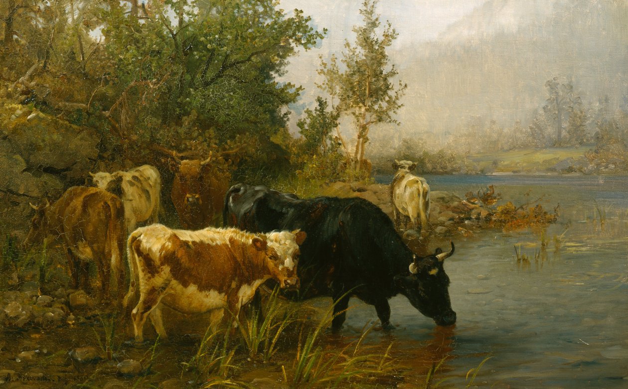 Koeien bij het water door Anders Askevold