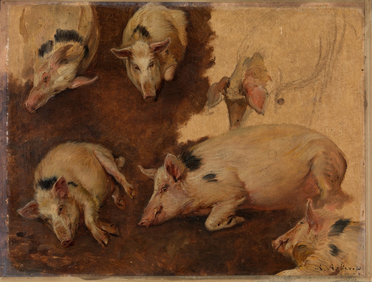 Studie van zes varkens door Anders Askevold