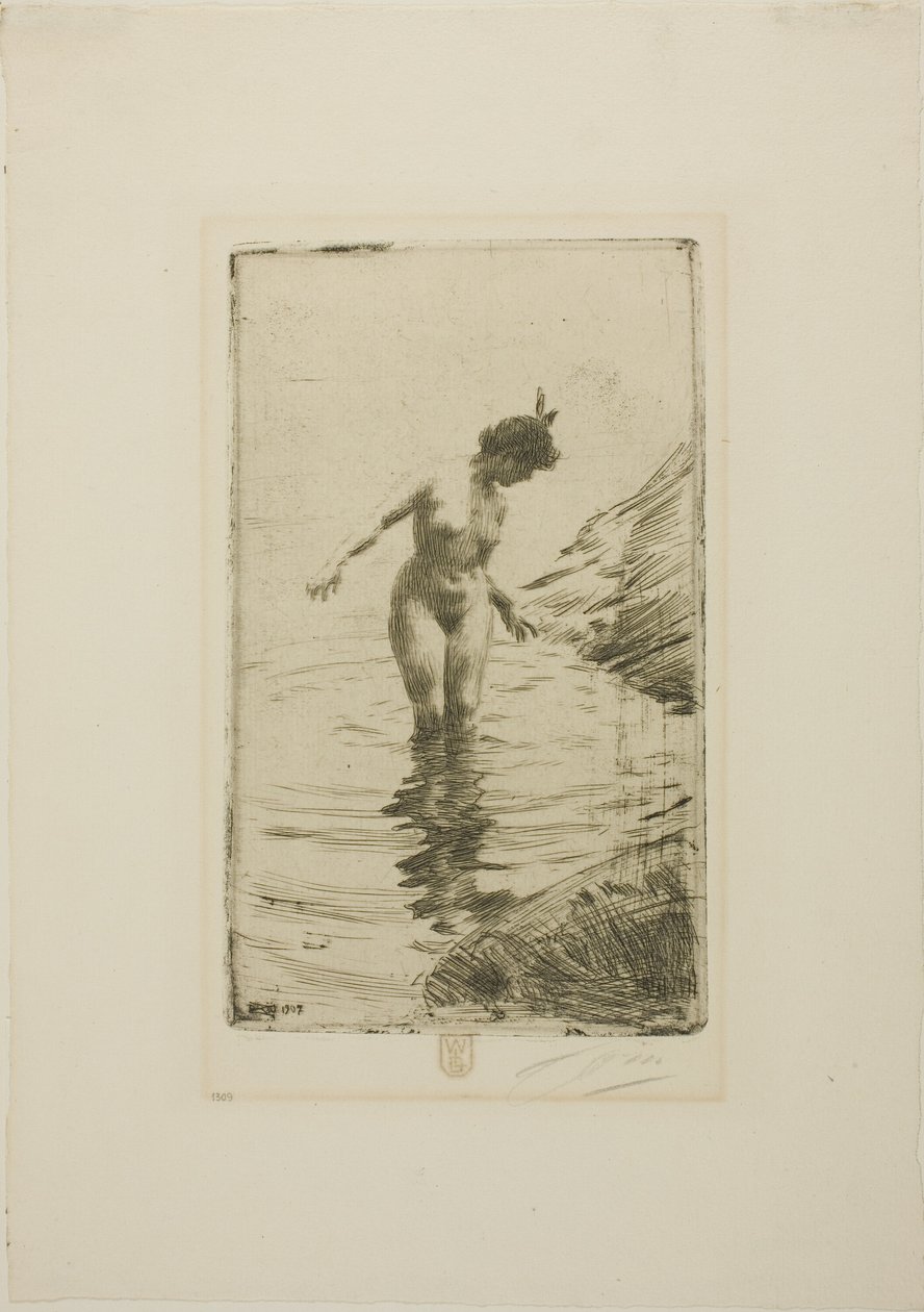 Cirkels van water II door Anders Zorn