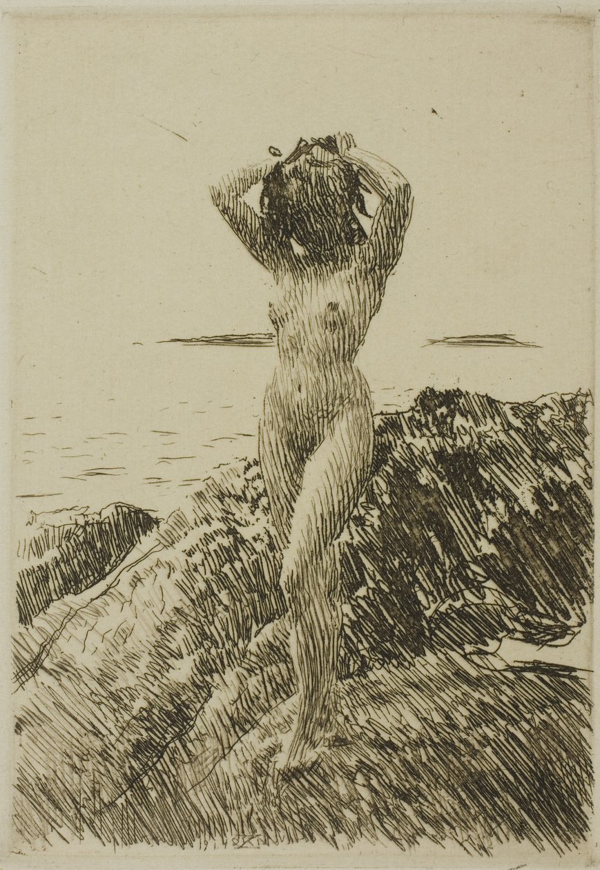 Hårtång (Zeewierkrans) door Anders Leonard Zorn