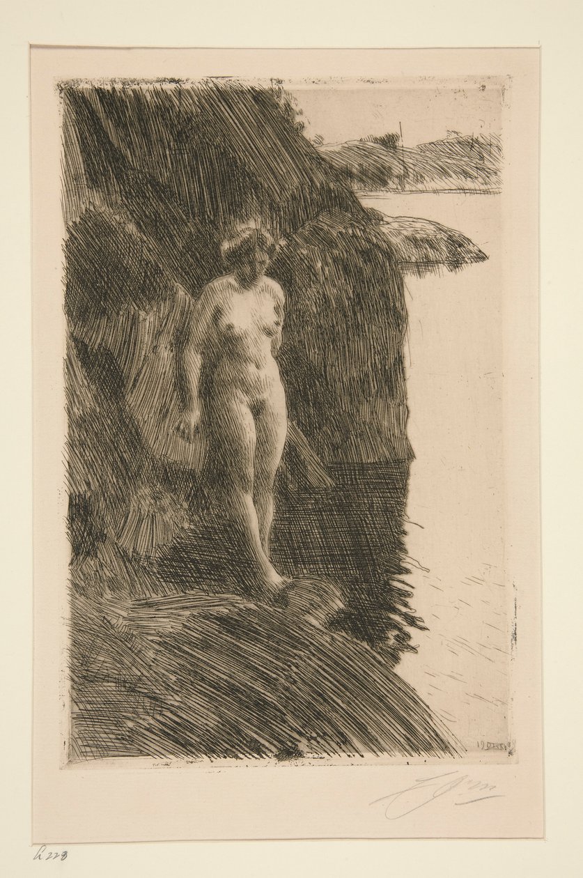 Afgrond door Anders Leonard Zorn