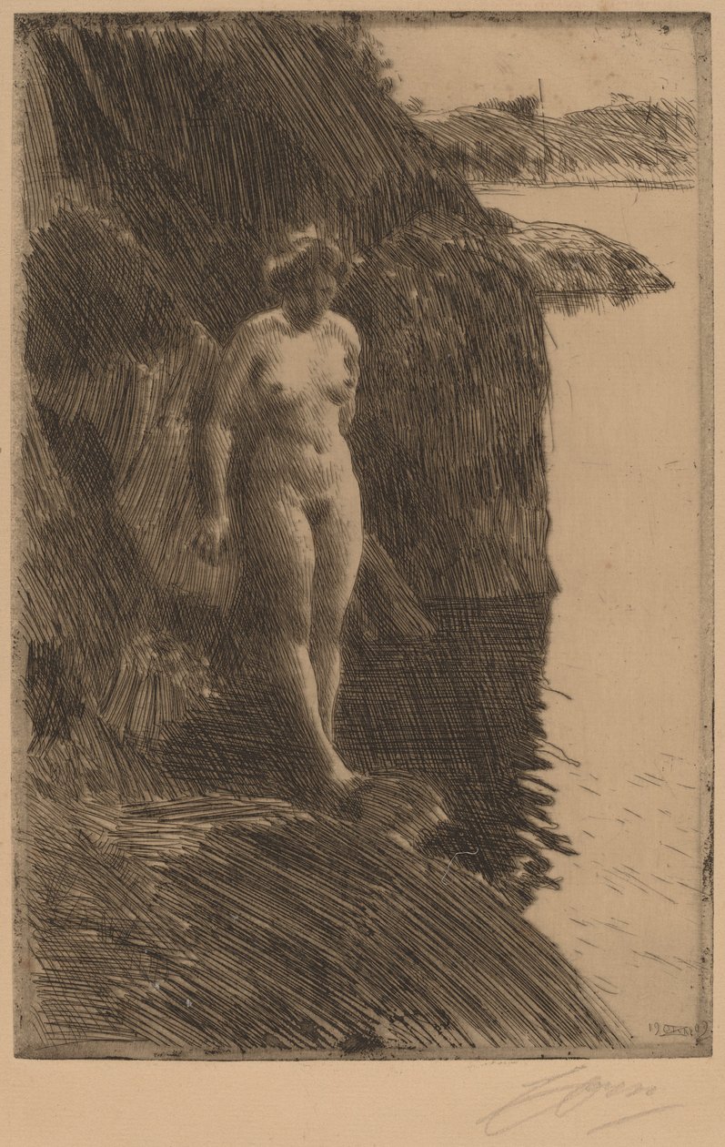 Afgrond door Anders Leonard Zorn