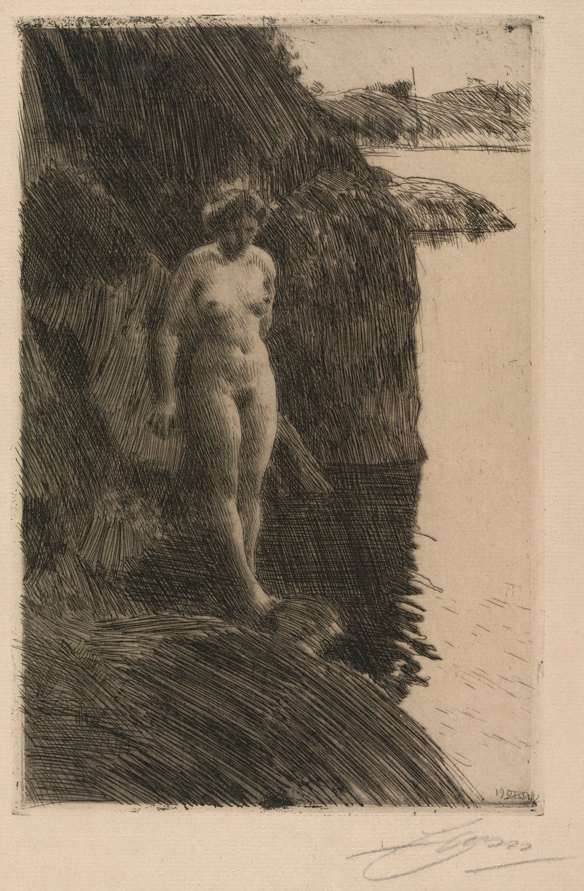 Afgrond door Anders Leonard Zorn