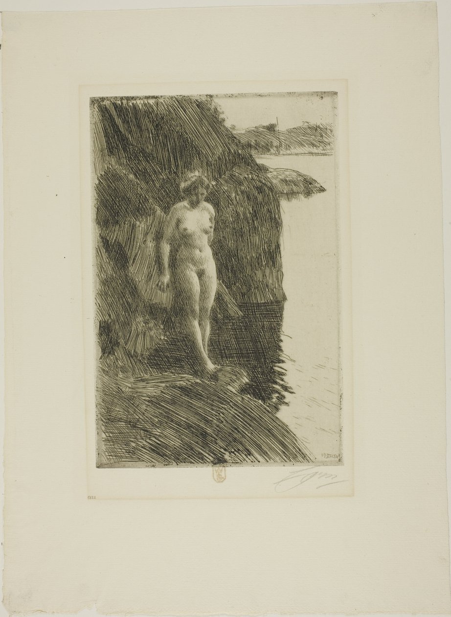 Afgrond door Anders Leonard Zorn