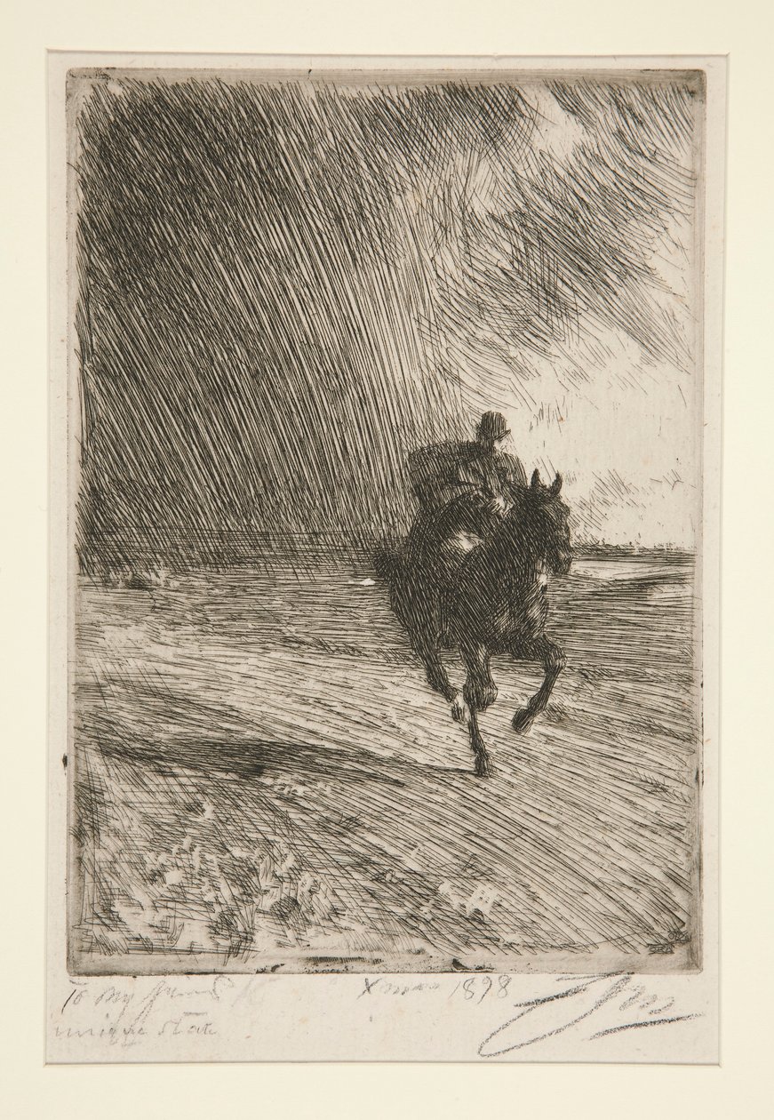 Storm door Anders Leonard Zorn