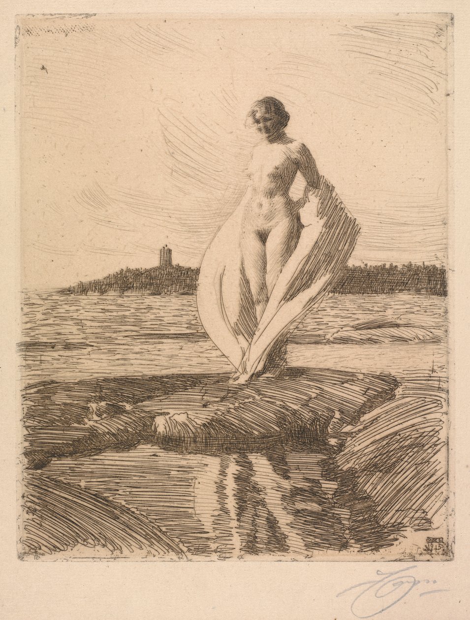 De zwaan door Anders Leonard Zorn