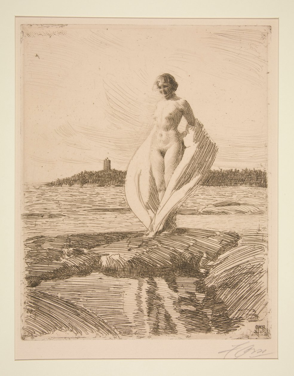De zwaan door Anders Leonard Zorn