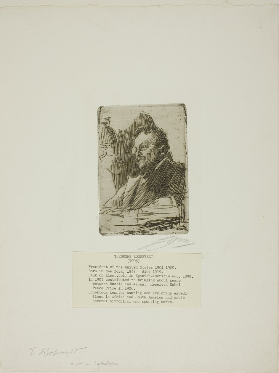 Theodore Roosevelt door Anders Leonard Zorn