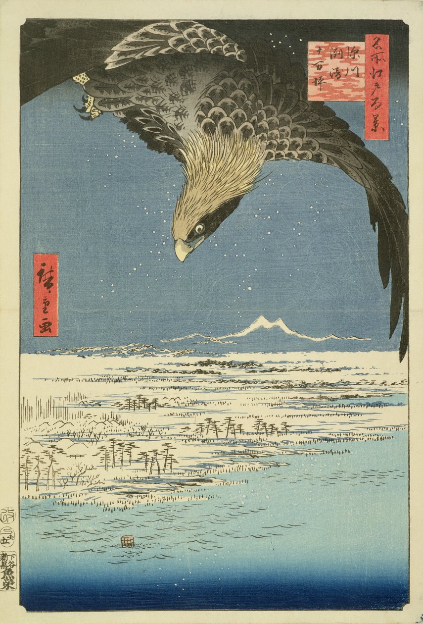 Adelaar boven 100.000 hectare vlakte bij Susaki, Fukagawa (