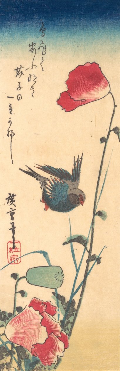 Een blauw vogeltje en klaprozen door Ando Hiroshige