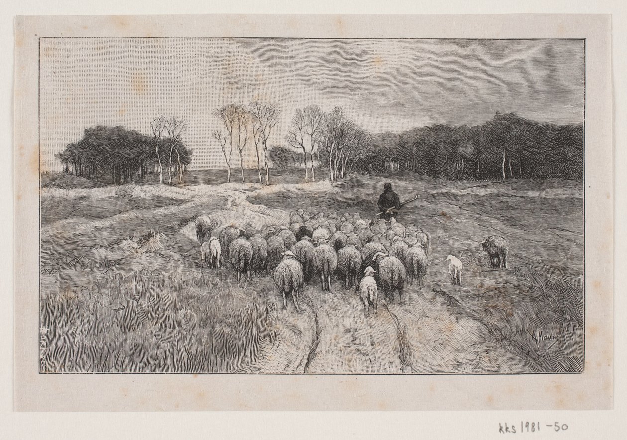 Landschap met schapen en herder door André Bork
